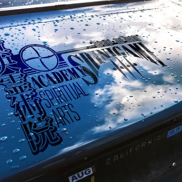 2x Pair Side Shinigami Academy Shinōreijutsuin Spiritual Arts Reiatsu Seireitei Yamamoto Gotei 13 Soul Society Manga Anime Vinyl Sticker Decal>