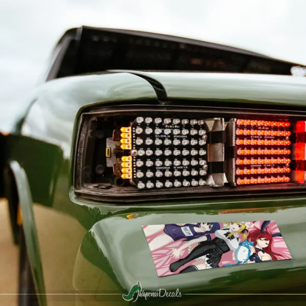 Lucy Heartfilia Team Natsu Mage Guild Erza v2 Sexy Hot Boobs Ass Anime Manga Printed Box Slap Bumper Car Vinyl Sticker Decal>