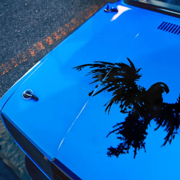 Eagle Hood v4 Wings Freedom Bird Liberty American Pride Stars and Stripes Heritage Patriotic US Army Air Force Navy Marines Military Grunge Distressed Car Vinyl Sticker Decal>