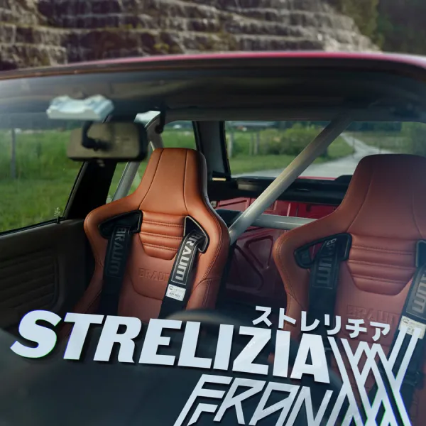 2x Pair Strelizia ストレリチア Zero Two Hiro Code 002 Sexy Girl Anime Manga Car Vinyl Sticker Decal>