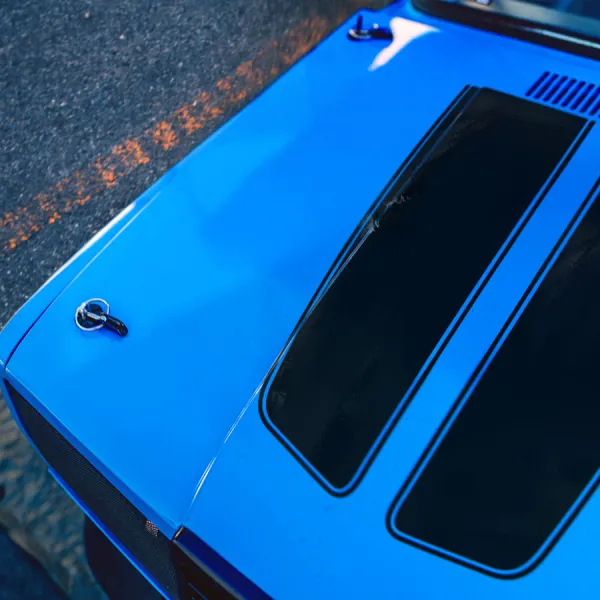 Hood Dual Stripes Twin Lines Viper Pinstripe Tribal Hot Rod Vintage Street Drag Night Run Racing Speed Drift Circuit Outlaw Tuning Track Warrior Muscle Car Vinyl Sticker Decal>