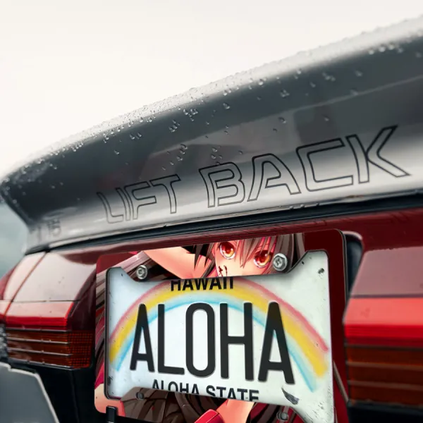 Akame v2 Demon Sword Murasame Strange Elder Assassin Otaku Anime Manga Printed Aluminum Composite Car License Plate Frame>