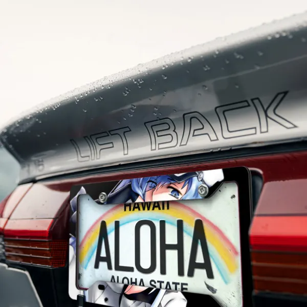 Esdeath General Jaegers Empire Demon's Extract Night Raid Otaku Anime Manga Printed Aluminum Composite Car License Plate Frame>