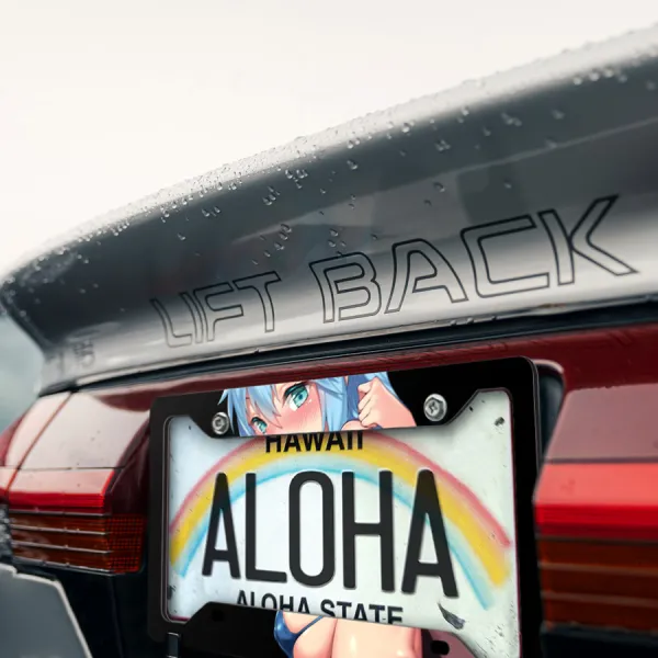 Aqua v2 Fantasy World Goddess Water Axis Order Belzerg Anime Sexy Hot Girl Otaku Weeb Printed Aluminum Composite Car License Plate Frame>