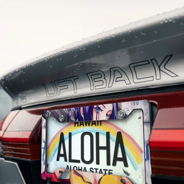 Faye Valentine v5 See You Space Cowboy Red Tail MONO Spaceship Waifu Girl Anime Printed Aluminum Composite Car License Plate Frame>