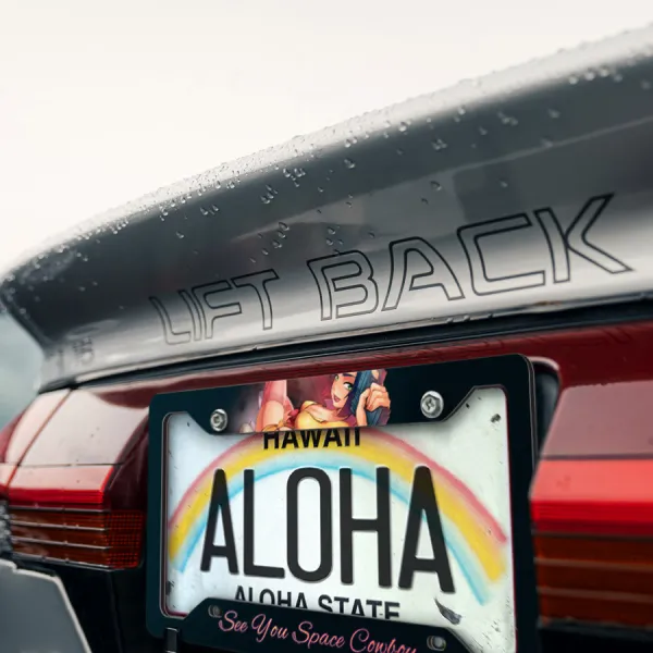 Faye Valentine v3 See You Space Cowboy Red Tail MONO Spaceship Waifu Girl Anime Printed Aluminum Composite Car License Plate Frame>