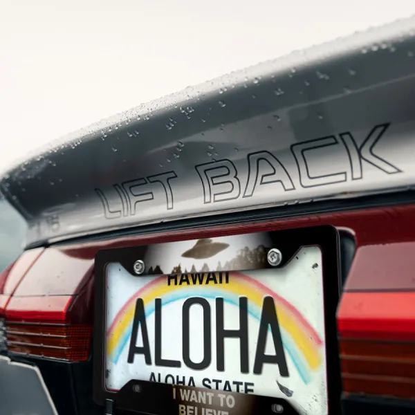 I Want to Believe UFO Files Conspiracy Aliens Mulder Scully Truth Out There Printed Aluminum Composite Car License Plate Frame>