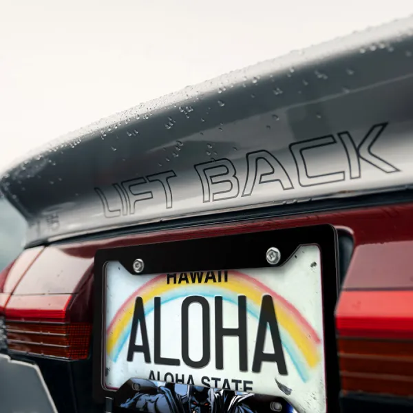 Bruce Wayne v1 Enterprises Gotham Comic Printed Aluminum Composite Car License Plate Frame>