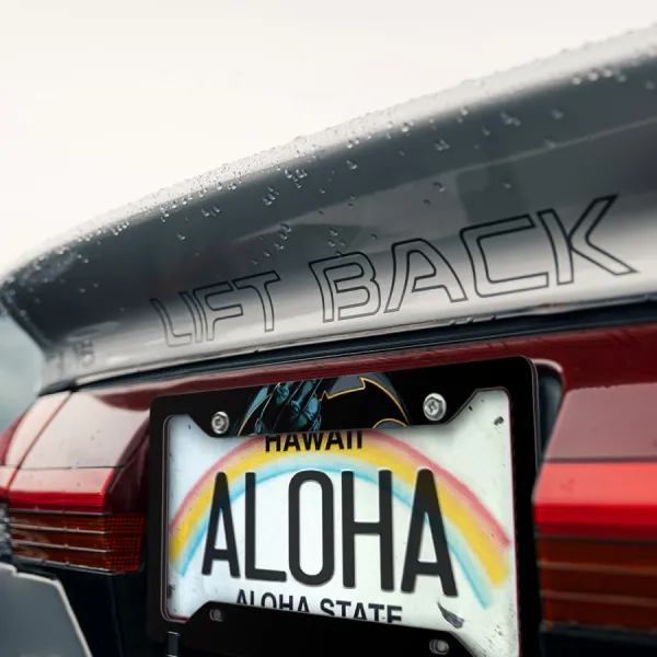 Bruce Wayne v3 Wayne Enterprises Gotham Comic Printed Aluminum Composite Car License Plate Frame>