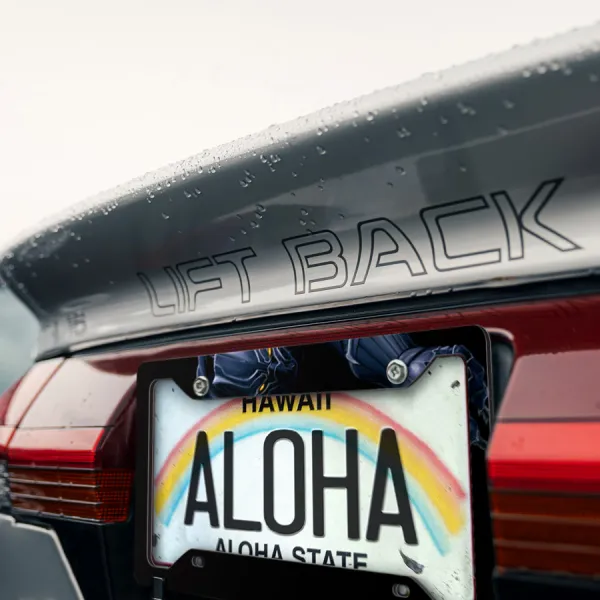 Panther v1 King T'Challa Wakanda Vibranium Claws Comic Printed Aluminum Composite Car License Plate Frame>