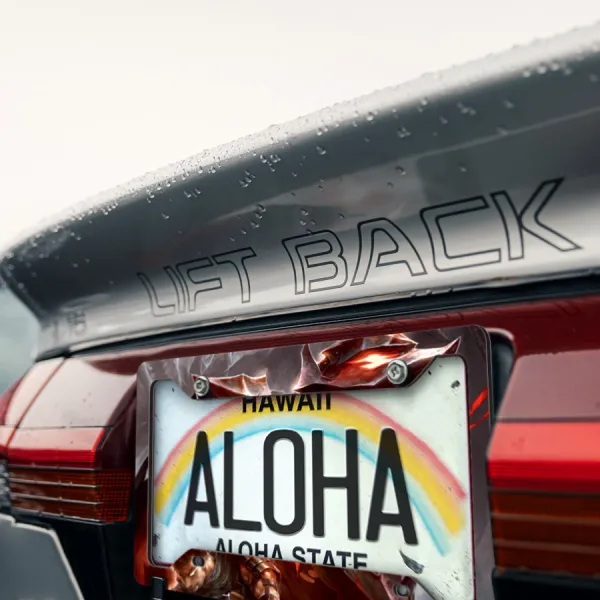 Guts Armor Knight Griffith Crimson Behelit God Sacrifice Anime Manga Printed Aluminum Composite Car License Plate Frame>