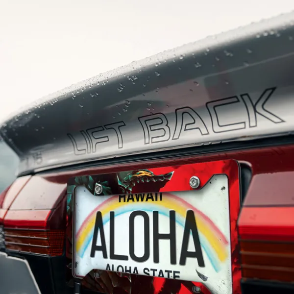 Guts v3 Black Swordsman Branded Band Falcon Armor Dragon Slayer Knight Griffith Crimson Sacrifice Anime Manga Printed Aluminum Composite Car License Plate Frame>