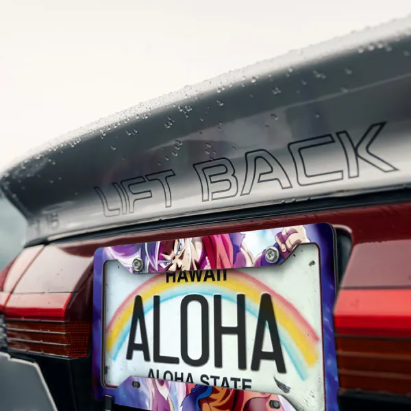 Son Goku Mastered Silver Hair Ultra Instinct Final Form Super Saiyan Dragon Z Kai DBZ Anime Manga Printed Aluminum Composite Car License Plate Frame>