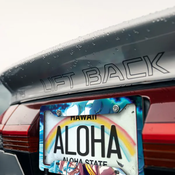 Vegetto v1 Vegito Vegerot Super Saiyan Blue Son Goku Vegeta Potara Earrings Z Super DBZ Kai Anime Manga Printed Aluminum Composite Car License Plate Frame>