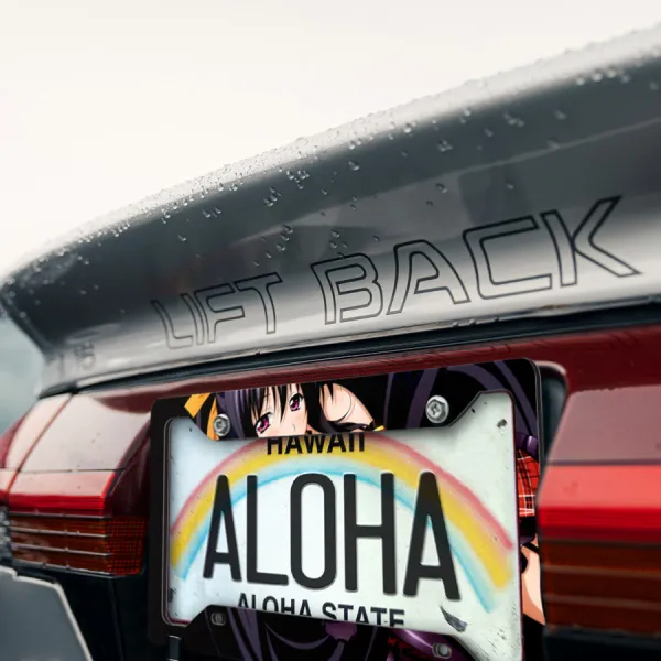 Akeno Himejima v1 Kuoh Academy Fallen Angel Sexy Boobs Girl Anime Manga Printed Aluminum Composite Car License Plate Frame>