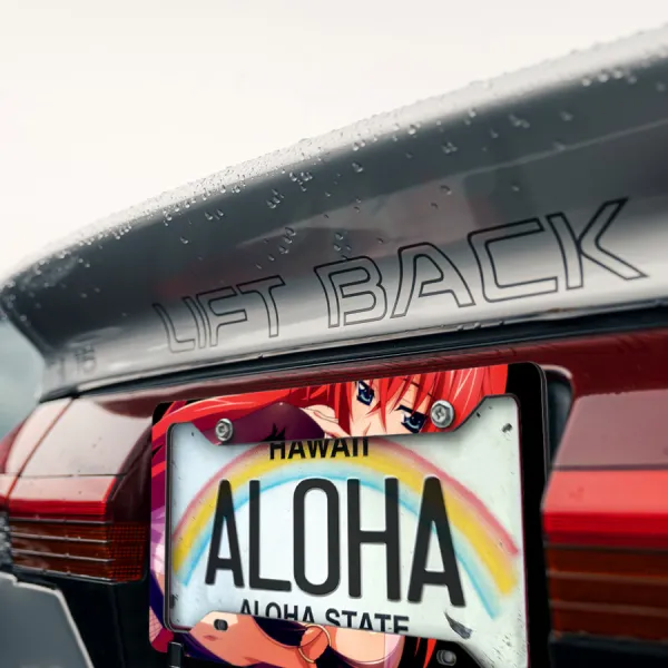 Rias Gremory v1 Lucifer Devil Kuoh Academy Crimson-Haired Ruin Princess Sexy Boobs Girl Anime Manga Printed Aluminum Composite Car License Plate Frame>