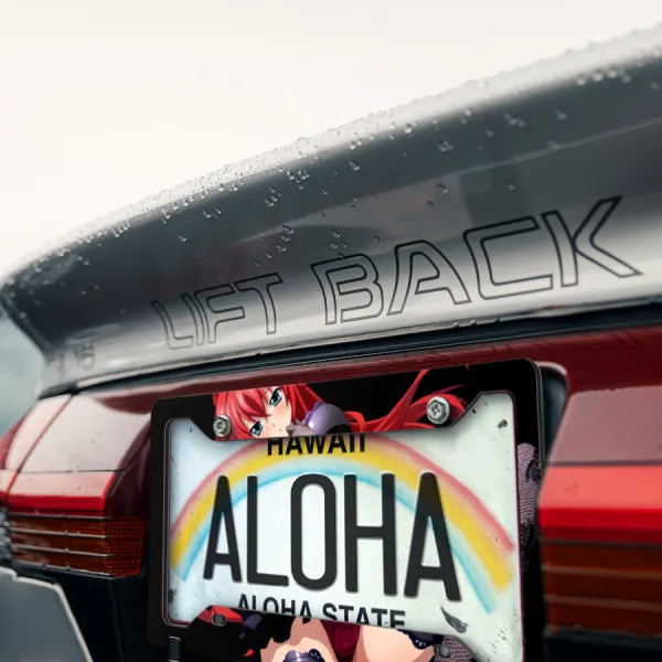 Rias Gremory v2 Lucifer Devil Kuoh Academy Crimson-Haired Ruin Princess Sexy Boobs Girl Anime Manga Printed Aluminum Composite Car License Plate Frame>