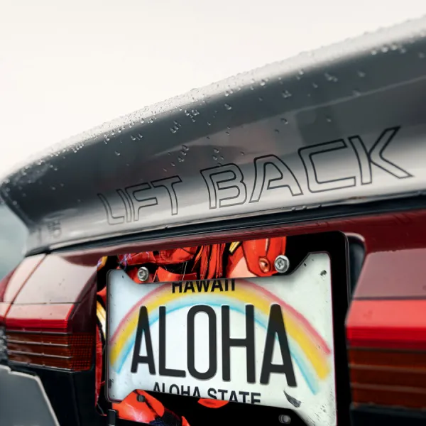 Barry Allen v2 Speed Justice Comic Superhero Lightning Bolt Printed Aluminum Composite Car License Plate Frame>