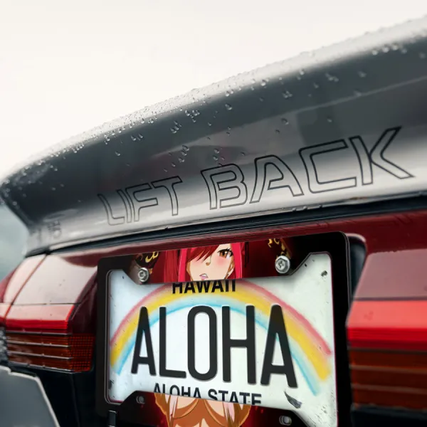 Erza Scarlet Team Natsu Mage Guild v1 Sexy Hot Girl Boobs Ass Anime Manga Printed Aluminum Composite Car License Plate Frame>