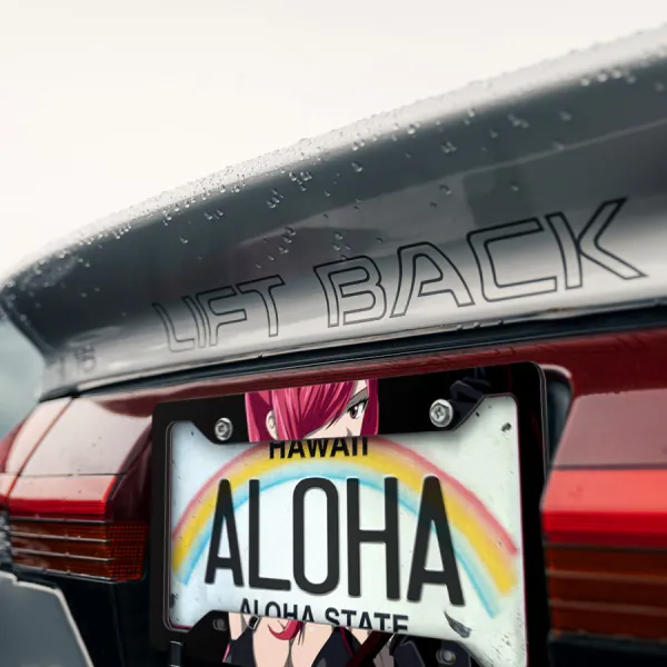 Erza Scarlet Team Natsu Mage Guild v2 Sexy Hot Girl Boobs Ass Anime Manga Printed Aluminum Composite Car License Plate Frame>