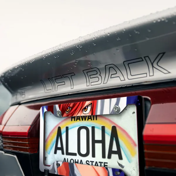 Erza Scarlet Team Natsu Mage Guild v3 Sexy Hot Girl Boobs Ass Anime Manga Printed Aluminum Composite Car License Plate Frame>