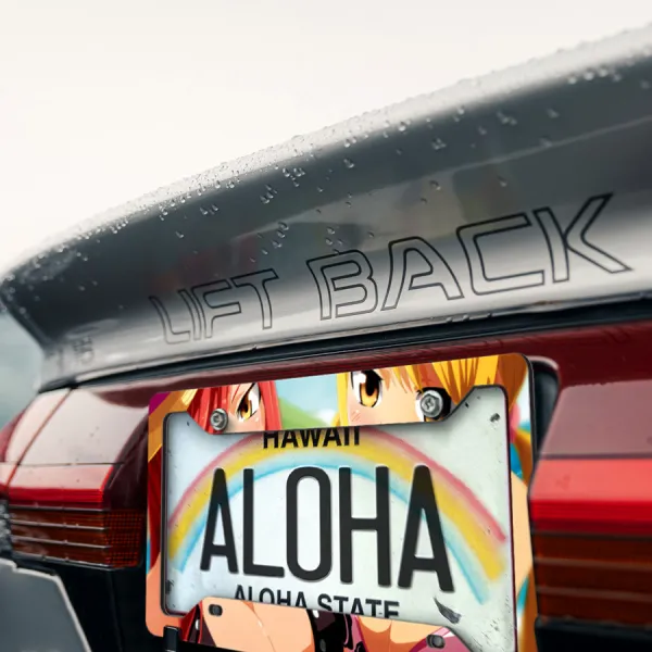 Lucy Heartfilia Team Natsu Mage Guild Erza v2 Sexy Hot Girl Boobs Ass JDM Anime Manga Printed Aluminum Composite Car License Plate Frame>