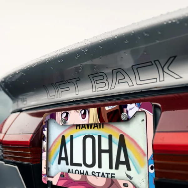 Lucy Heartfilia Team Natsu Mage Guild Erza v3 Sexy Hot Girl Boobs Ass JDM Anime Manga Printed Aluminum Composite Car License Plate Frame>