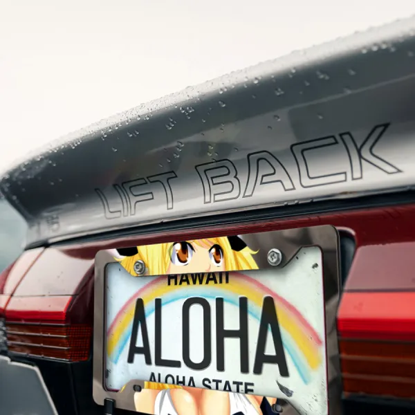 Lucy Heartfilia Team Natsu Mage Guild Erza v4 Sexy Hot Girl Boobs Ass JDM Anime Manga Printed Aluminum Composite Car License Plate Frame>