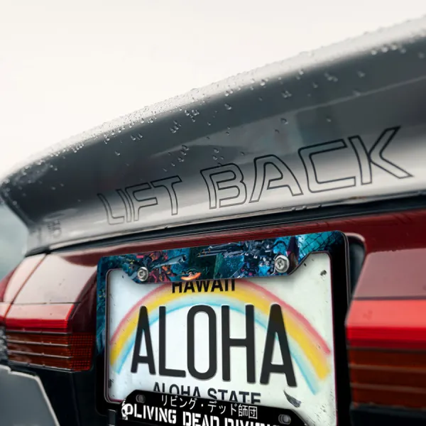 Living Dead Division Skull Principality of Zeon Thunderbolt Anime Manga Printed Aluminum Composite Car License Plate Frame>