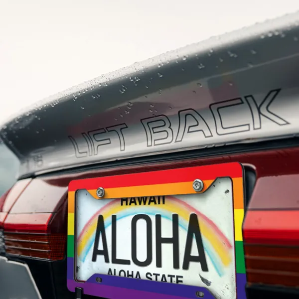 Lesbian Gay Pride LGBT Rainbow Printed Aluminum Composite Car License Plate Frame>