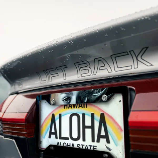 Daenerys Targaryen V1 Queen Mother of Dragons Dracarys Drogon Rhaegal Viserion  GoT Westeros Printed Aluminum Composite Car License Plate Frame>