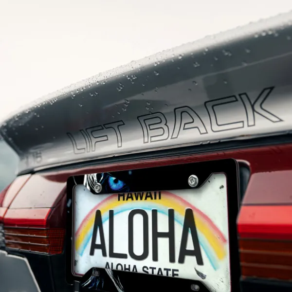 White Walker King Night's Watch Army of the Dead Wall Ice Eye Winter John Snow GoT Printed Aluminum Composite Car License Plate Frame>