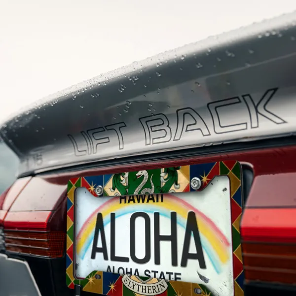 Slytherin House Snake Salazar Severus Snape Draco Malfoy Lord Voldemort Magic Wizard School Spell Wand Printed Aluminum Composite Car License Plate Frame>