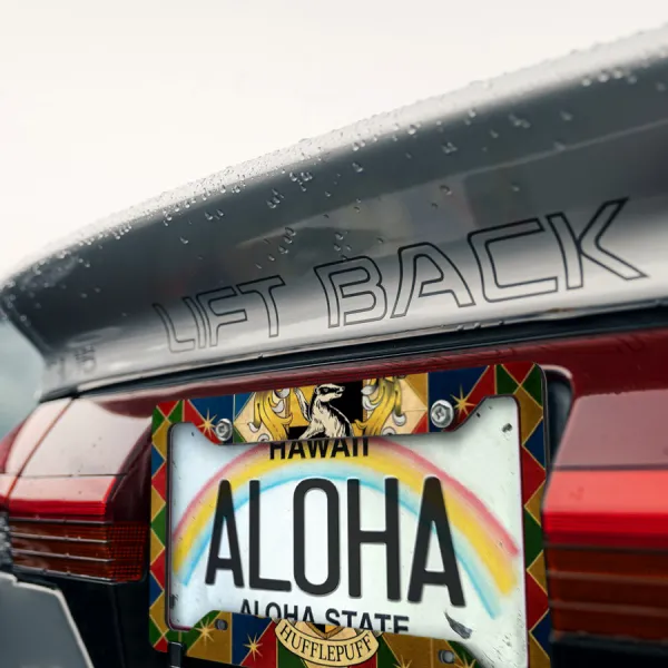 Hufflepuff House Badger Helga Newton Scamander Dumbledore Lord Voldemort Magic Wizard School Spell Wand Printed Aluminum Composite Car License Plate Frame>