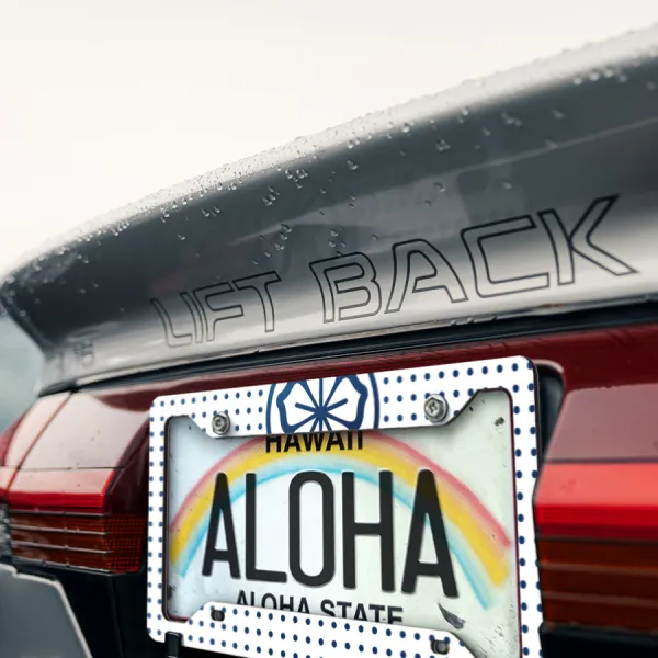 Lotus Flower Daniel LaRusso Johnny Lawrence Mr. Miyagi Cobra Kai Printed Aluminum Composite Car License Plate Frame>