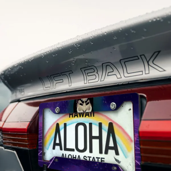 Fsociety Mask Anonymous Our Democracy Has Been Hacked Alderson Printed Aluminum Composite Car License Plate Frame>