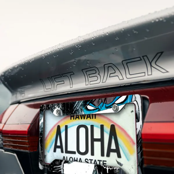 Dick Greyson v1 Bruce Wayne Gotham Superhero Printed Aluminum Composite Car License Plate Frame>