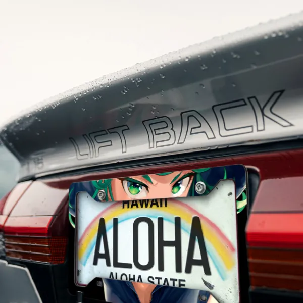 Tatsumaki v2 Tornado of Terror S-Class Rank 2 Hero Association Esper Psychic Sisters Fubuki Waifu Anime Manga Printed Aluminum Composite Car License Plate Frame>