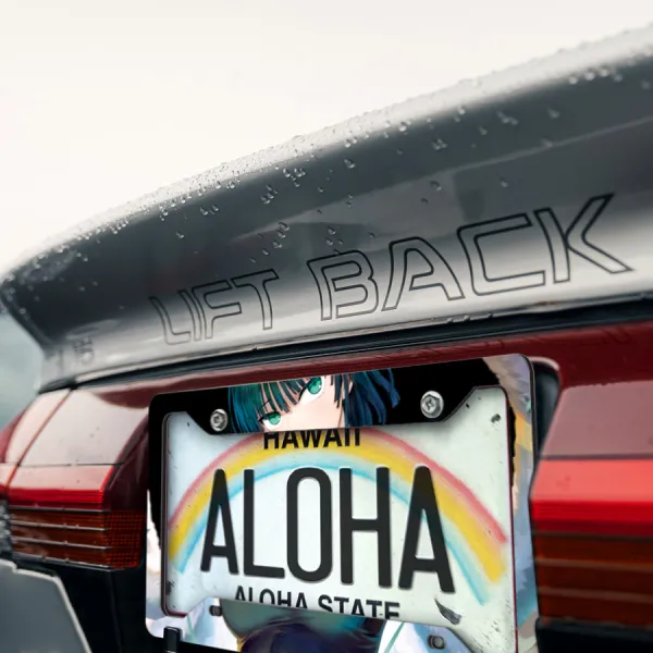 Fubuki v1 Miss Blizzard Hell B-Class Rank 1 Hero Association Tatsumaki Sister Psychic Waifu Girl Anime Manga Printed Aluminum Composite Car License Plate Frame>