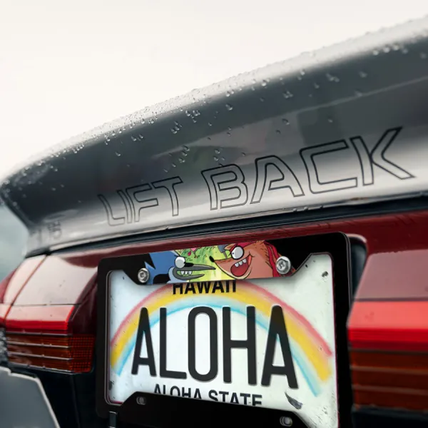 Mordecai Rigby V1 Cartoon Park Blue Jay Bird Raccoon Pops' House Space Tree Station Printed Aluminum Composite Car License Plate Frame>