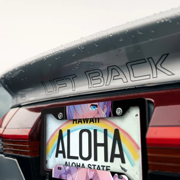 Rem v1 Blue Twin Maid Roswaal Mathers Water Magic Lye Oni Girl Anime Manga Printed Aluminum Composite Car License Plate Frame>