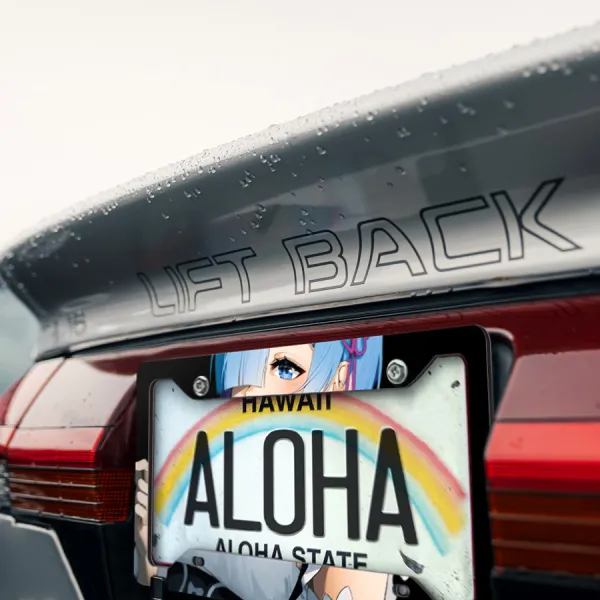 Rem v2 Blue Twin Maid Emilia Camp Roswaal Mathers Water Magic Lye Oni Girl Kingdom Lugunica Waifu Girl Anime Manga Printed Aluminum Composite Car License Plate Frame>