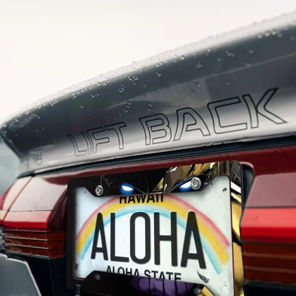 Titan v2 Gems Glove Infinity Gauntlet Printed Aluminum Composite Car License Plate Frame>