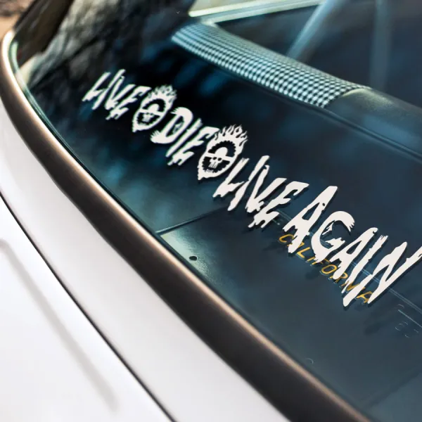 2x Pair Live Die Live Again Skull Immortan Joe Wasteland Citadel Gasoline V8 Interceptor Thunderdome War Boys Rig Convoy Lovely Day Fury Car Vinyl Sticker Decal>