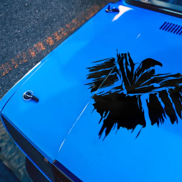 Hood Eagle v2 Splash Distressed Agents Secret War Unit Strategic Homeland Division Black Ops Fury Stars Hail Hydra Helicarrier Level 7 Comic Car Vinyl Sticker Decal>