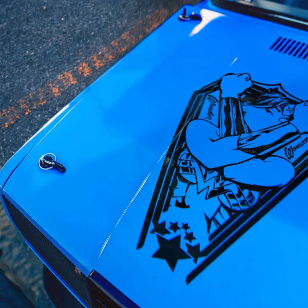 Hood Diana Prince v2 Themyscira Princess Amazon Warrior Paradise Nemesis Stars Stripes Lasso of Truth Superhero Comic Car Vinyl Sticker Decal>