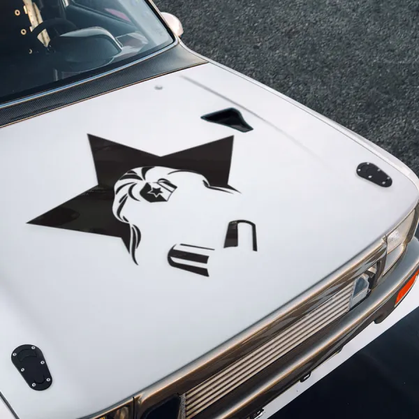 Hood Diana Prince v3 Themyscira Princess Amazon Warrior Paradise Nemesis Stars Stripes Lasso of Truth Superhero Comic Car Vinyl Sticker Decal>