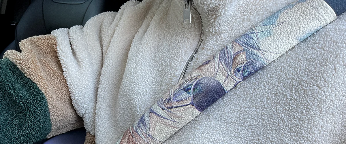 How to Be a Star on a Local or Global Car Show 2