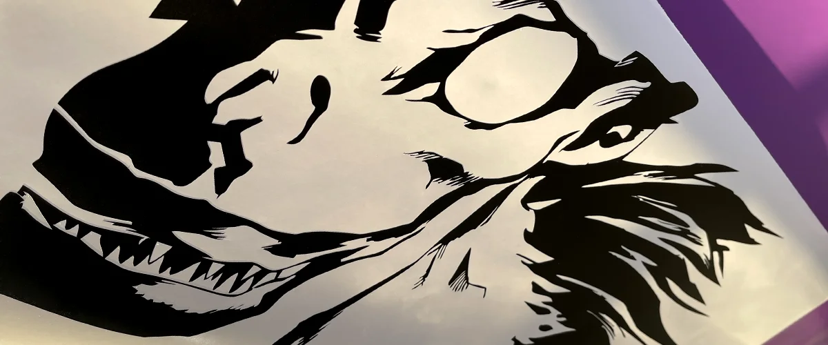 Matte or Glossy Finish of the Vinyl – Differences and Advantages, Iconic Color Combinations 1